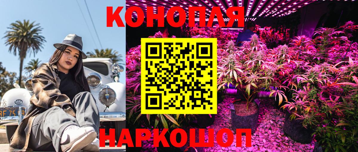 Бошки марихуана Amnesia  Конопля VHQ  Бошки Шишки THC 21%  Ногинск  Вход с VPN 